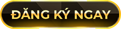 đăng ký